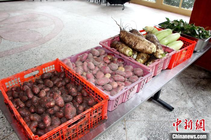 图为亚东边检站“警营菜园”喜获丰收的蔬菜。　王东东 摄