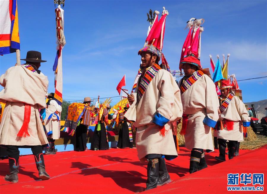 （发新华网西藏频道）西藏：山南农牧民喜迎丰收（2）