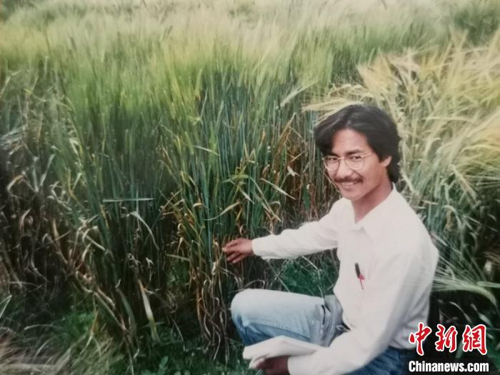 西藏农民眼中的尼玛扎西：他是扎根田间的“青稞博士”