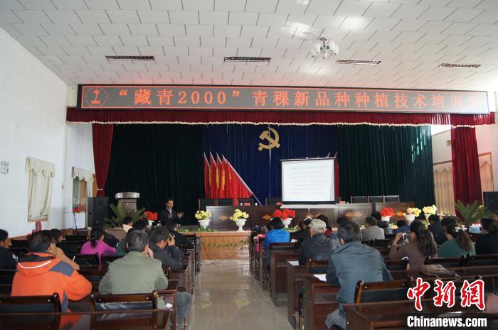 图为2014年，尼玛扎西(讲台发言者)在阿里地区普兰县推广“藏青2000”种植(资料图)。西藏农科院 供图