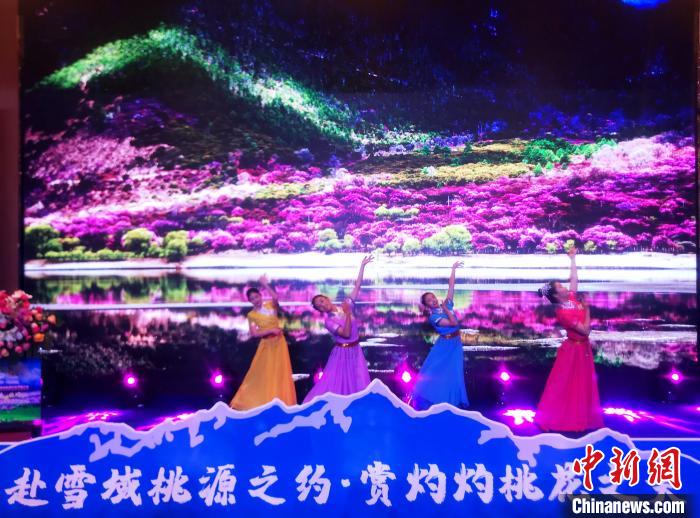 第十九届林芝桃花旅游文化节推介会在拉萨举行
