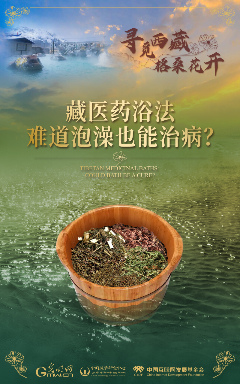 【寻觅西藏·格桑花开】《月王药诊》：穿梭千年的“心动”指南