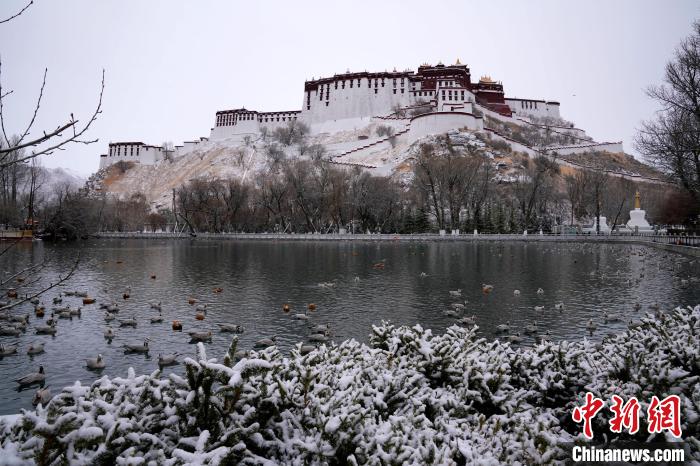 西藏拉萨雪后风光秀丽