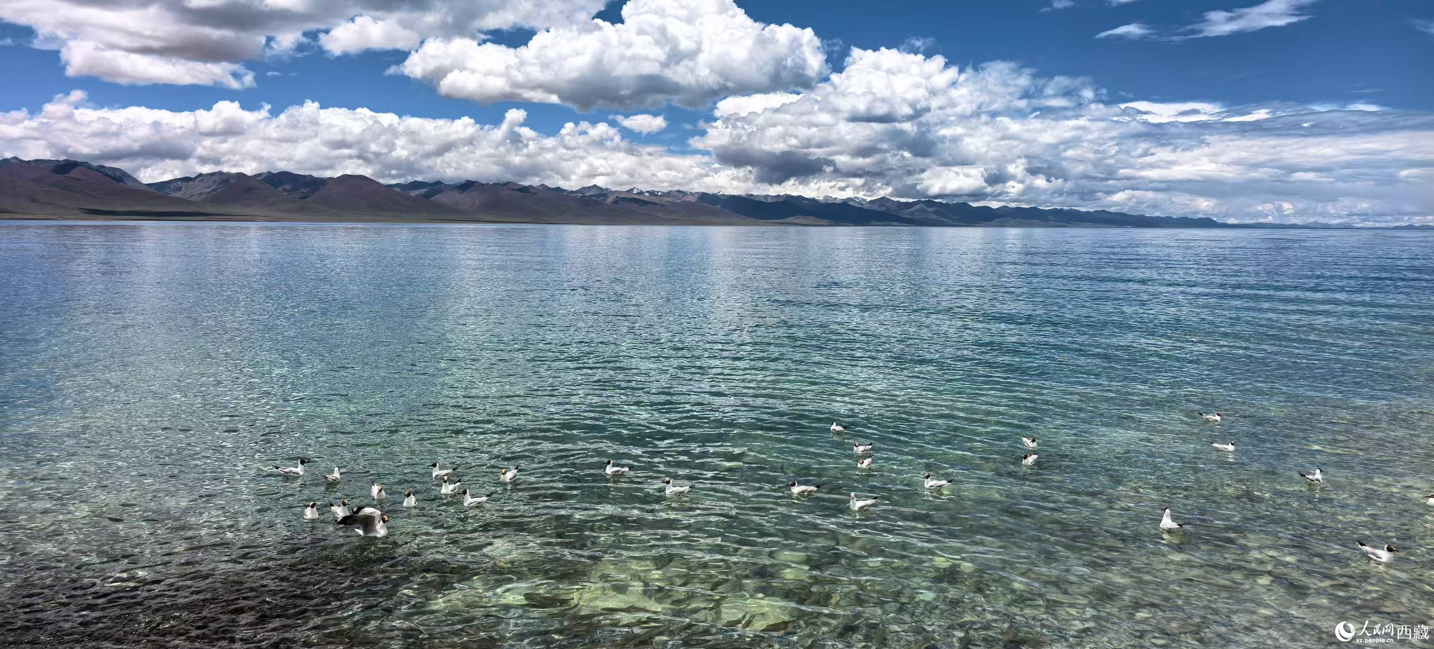 夏日纳木错 景美醉游人【6】