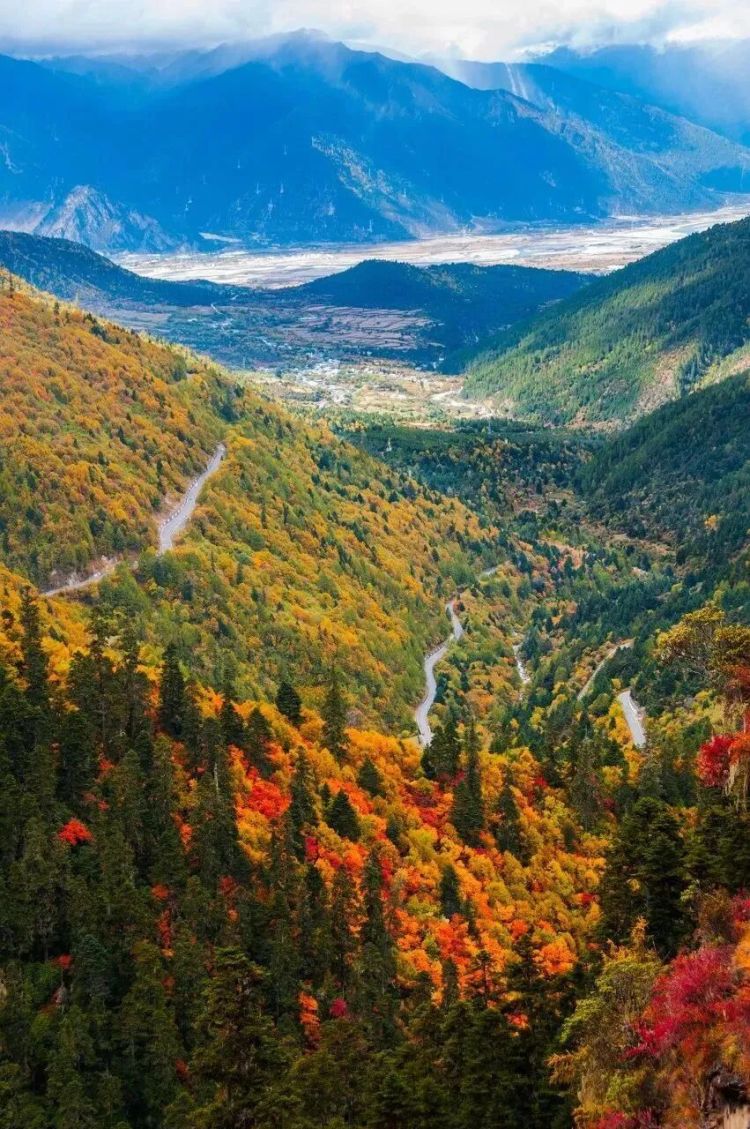 懂西藏的人，一定不会错过林芝的秋天