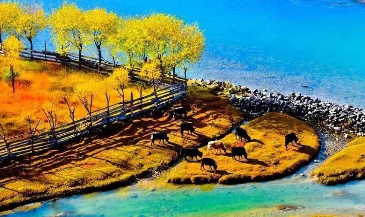 懂西藏的人，一定不会错过林芝的秋天