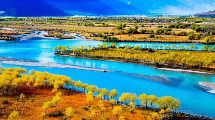 懂西藏的人，一定不会错过林芝的秋天