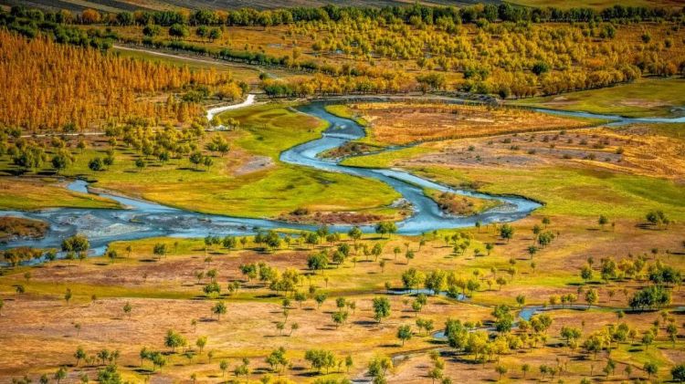懂西藏的人，一定不会错过林芝的秋天