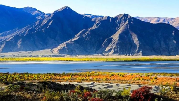 懂西藏的人，一定不会错过林芝的秋天