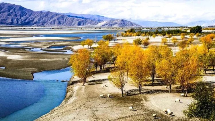 懂西藏的人，一定不会错过林芝的秋天