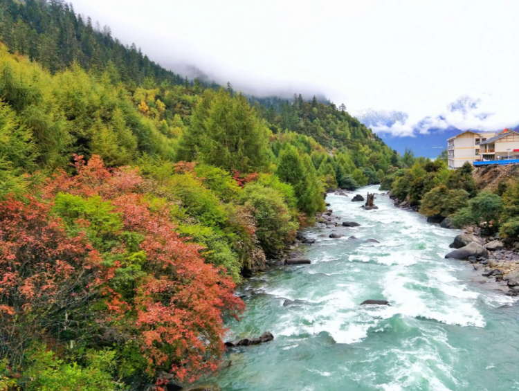 懂西藏的人，一定不会错过林芝的秋天