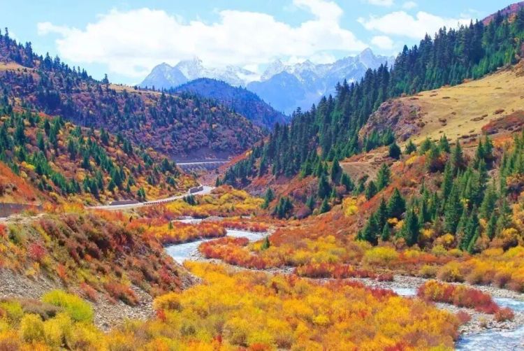 懂西藏的人，一定不会错过林芝的秋天