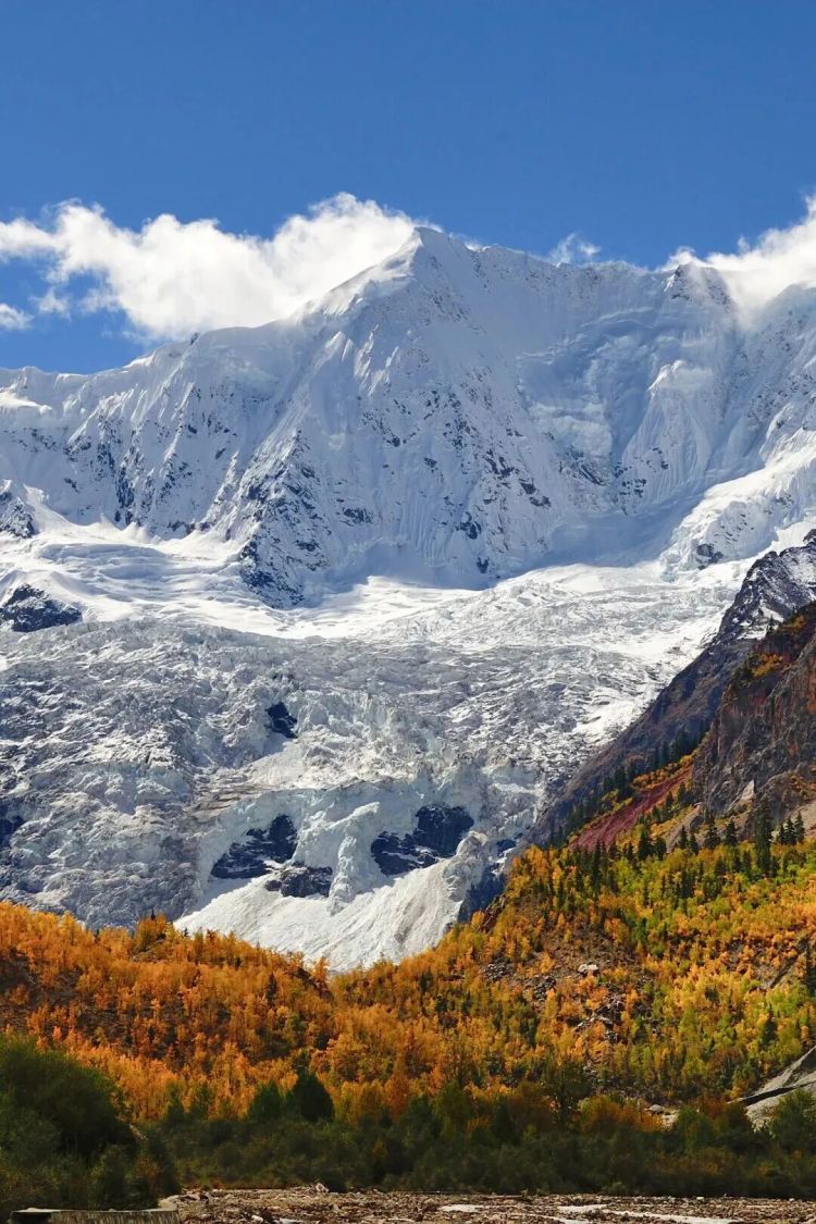 懂西藏的人，一定不会错过林芝的秋天