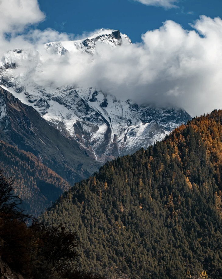 懂西藏的人，一定不会错过林芝的秋天