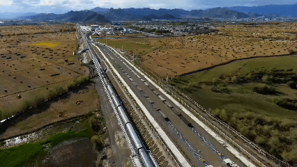 青稞“蜕变”,牦牛“出圈”!看西藏农牧民的“十四五”丰收答卷