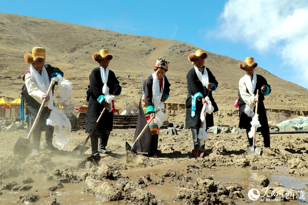 身着传统服饰的拉东村村民手持铁锹疏通水道、引水灌溉，渠水奔涌入田，开启春耕生产。人民网记者 吴雨仁摄