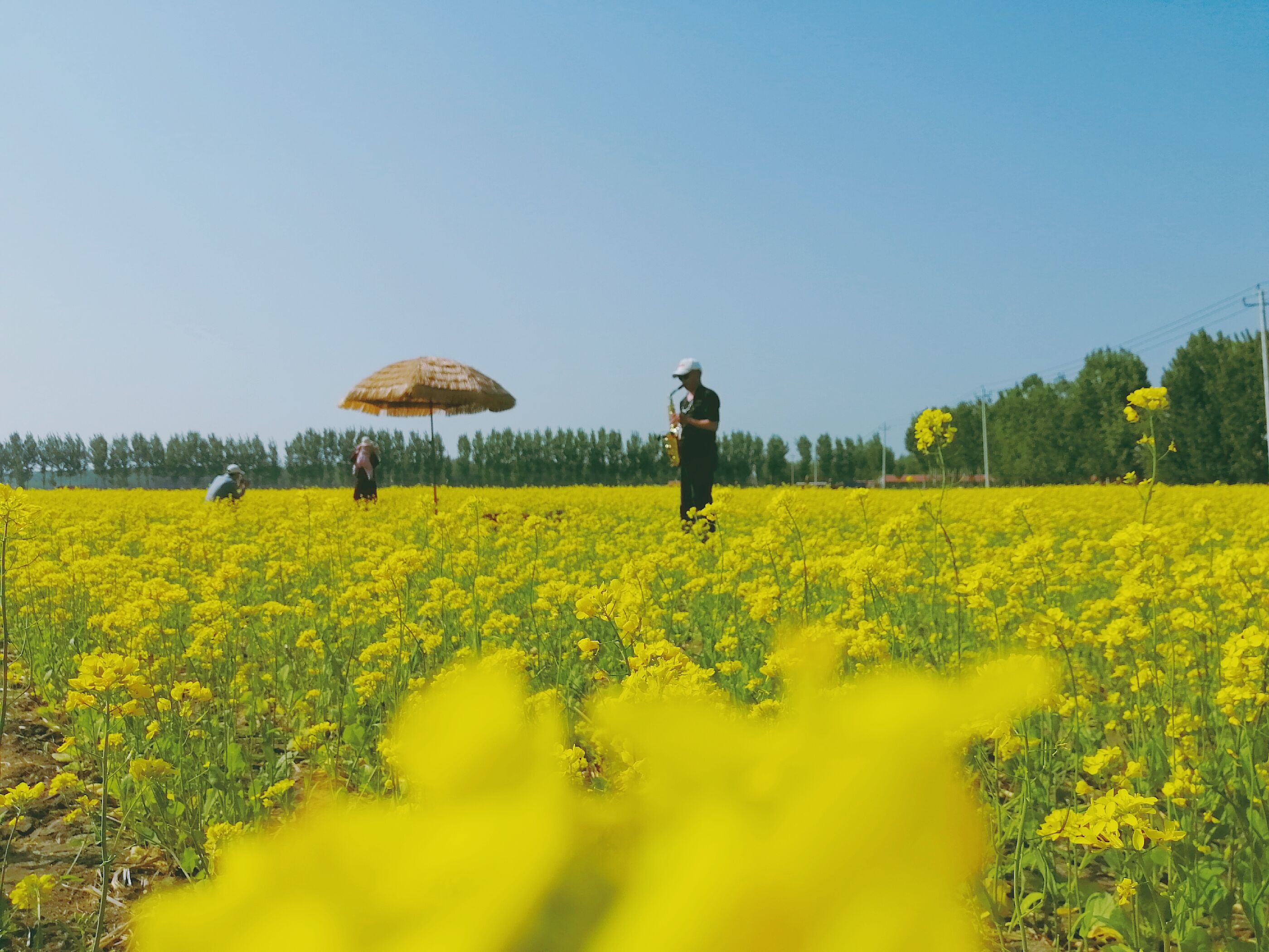 初夏， 丰台镇岳秀庄村300亩油菜花海芳香四溢，吸引四方游客前来“打卡”。宁河区供图