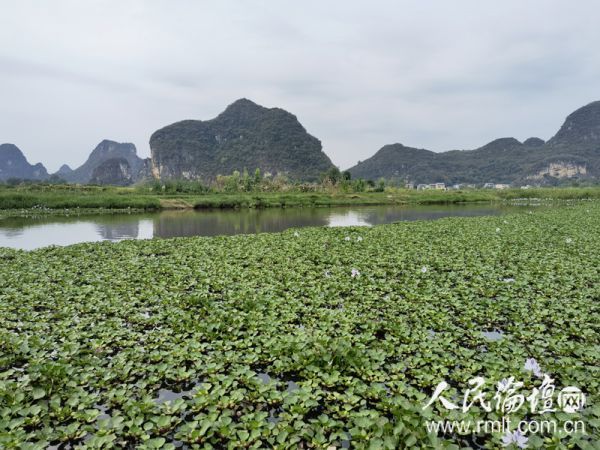 图二（小）