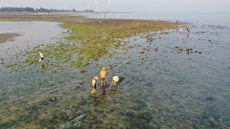 徐闻：两片海连起甜蜜致富路｜“县”在出发 “粤”上枝头