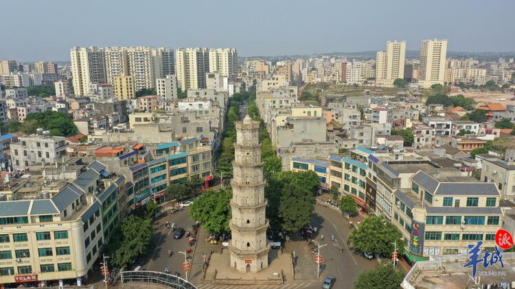 徐闻：两片海连起甜蜜致富路｜“县”在出发 “粤”上枝头