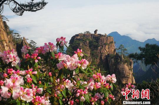 黄山风景区“五一”小长假客流、车流平稳