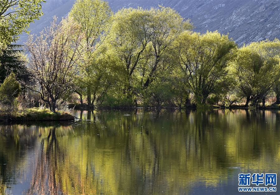 （美丽中国）（1）拉鲁湿地：城市湿地风景如画