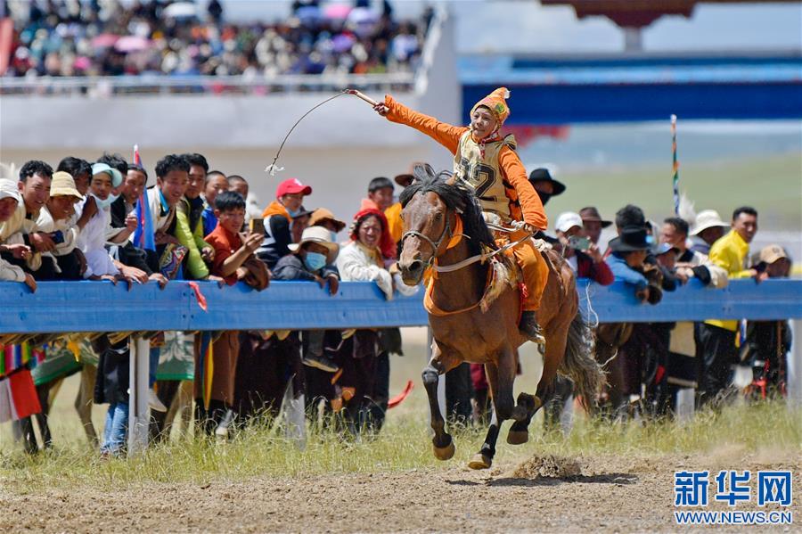 （体育）（1）西藏那曲：骏马驰骋赛马场