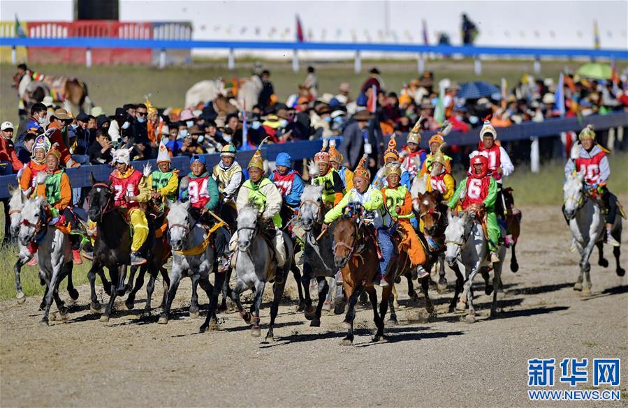 （体育）（3）西藏那曲：骏马驰骋赛马场
