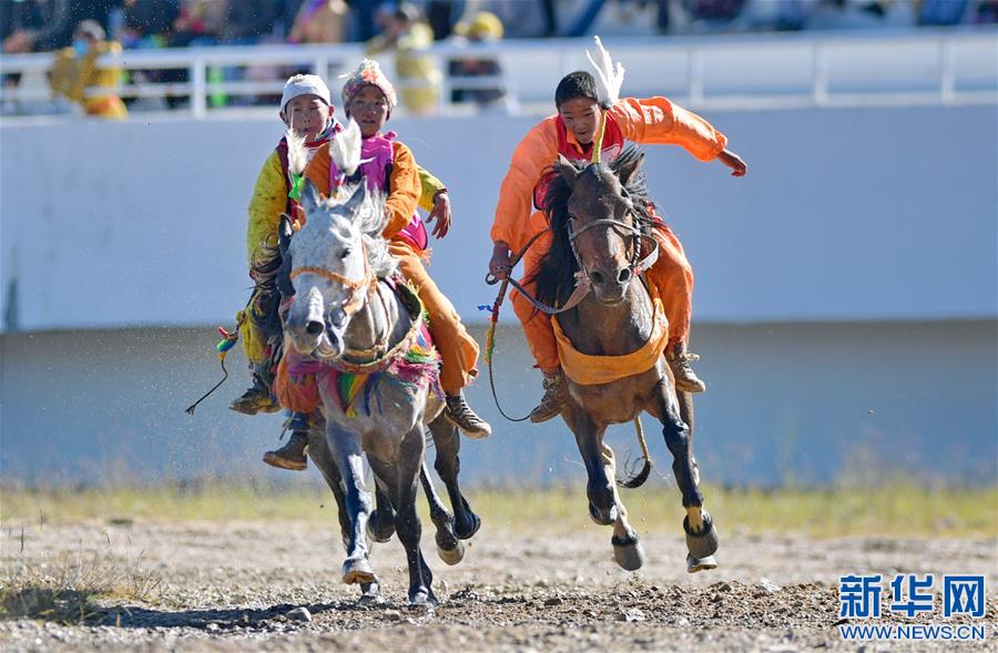 （体育）（5）西藏那曲：骏马驰骋赛马场