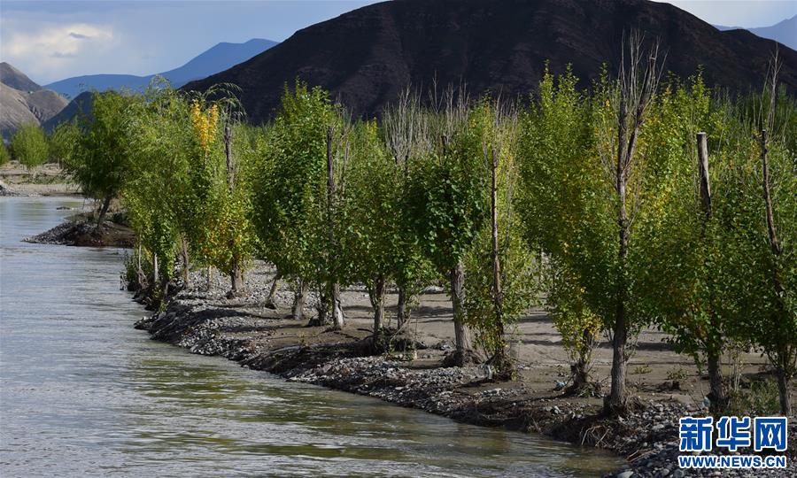 （新华视界）（2）西藏日喀则市桑珠孜区加大造林绿化力度 成效明显